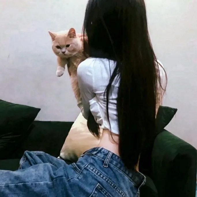 甄嬛爱不停